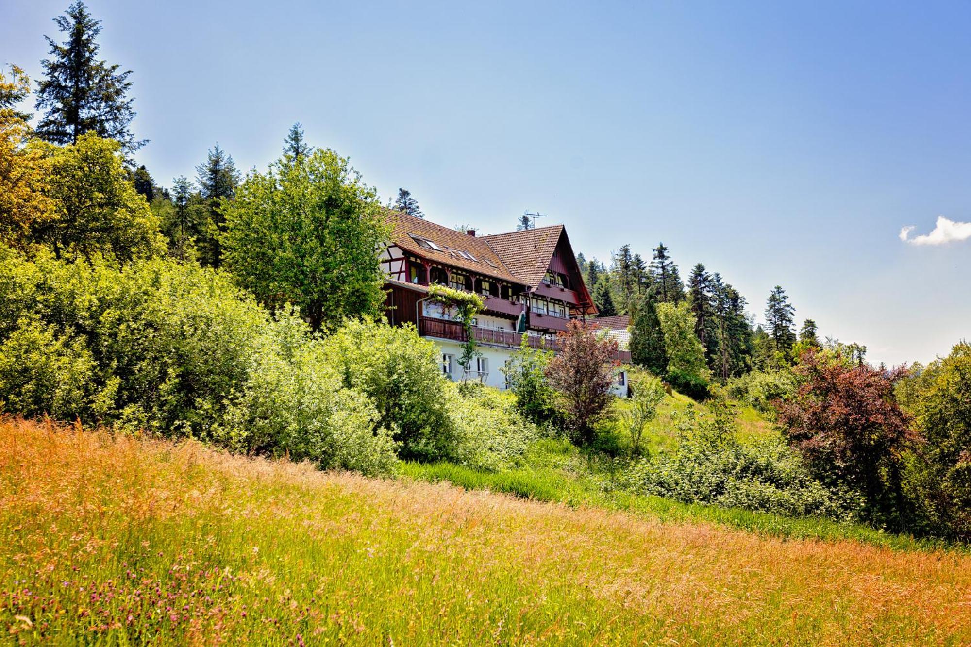 Haus Nilson Apartment Gengenbach Bagian luar foto